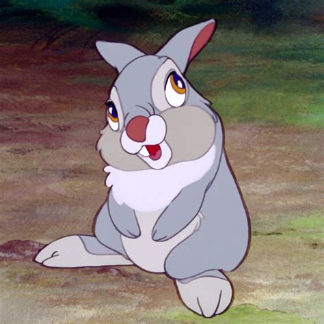 rabbit thumper|pictures of thumper from bambi.